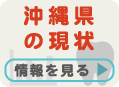 沖縄県の現状